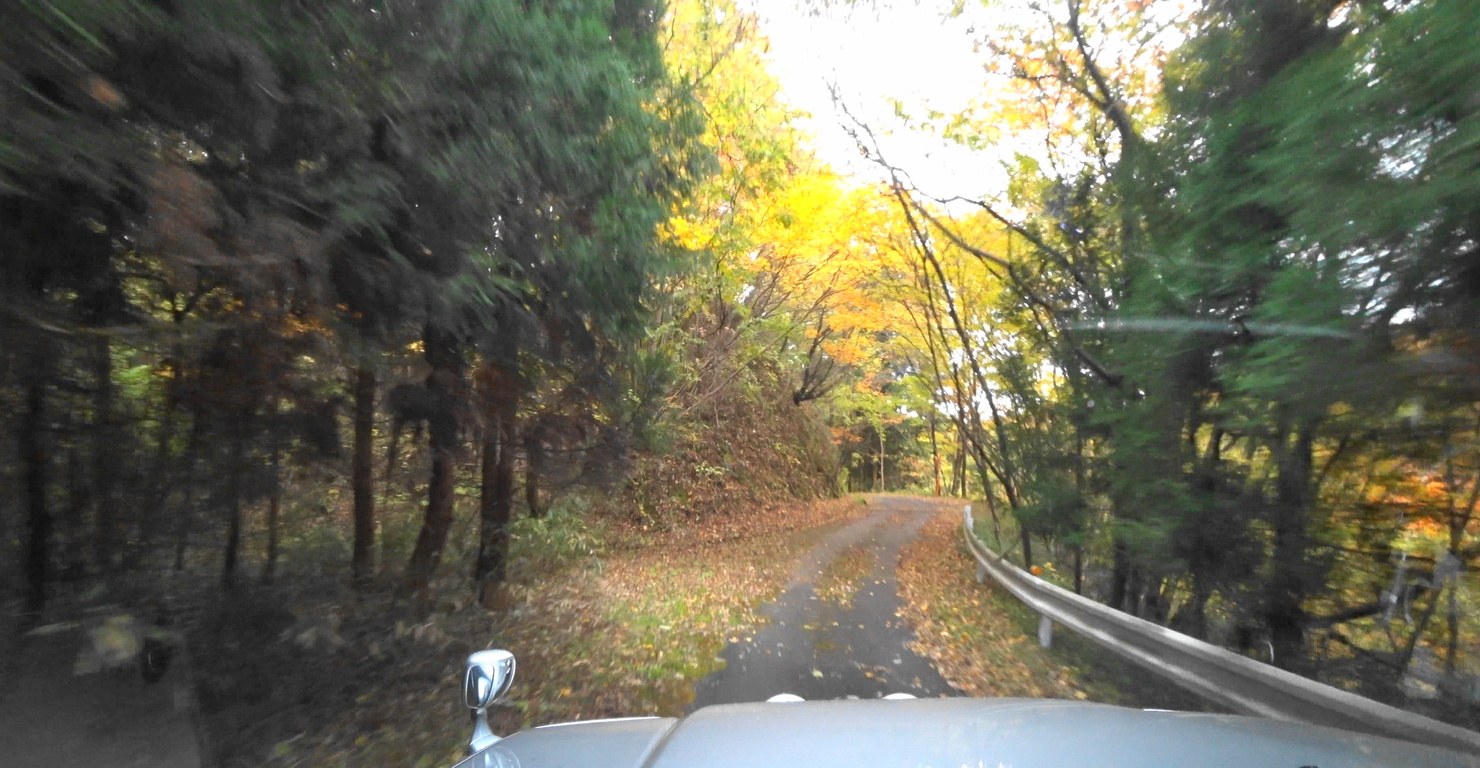 Takayu Home Page (Another name is GREEN SITE.)